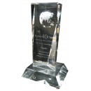 Crystal Globe Award